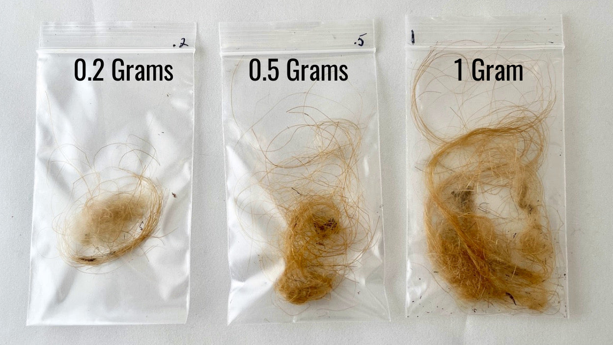 Mammoth Hair (Fur) - Authentic Siberian