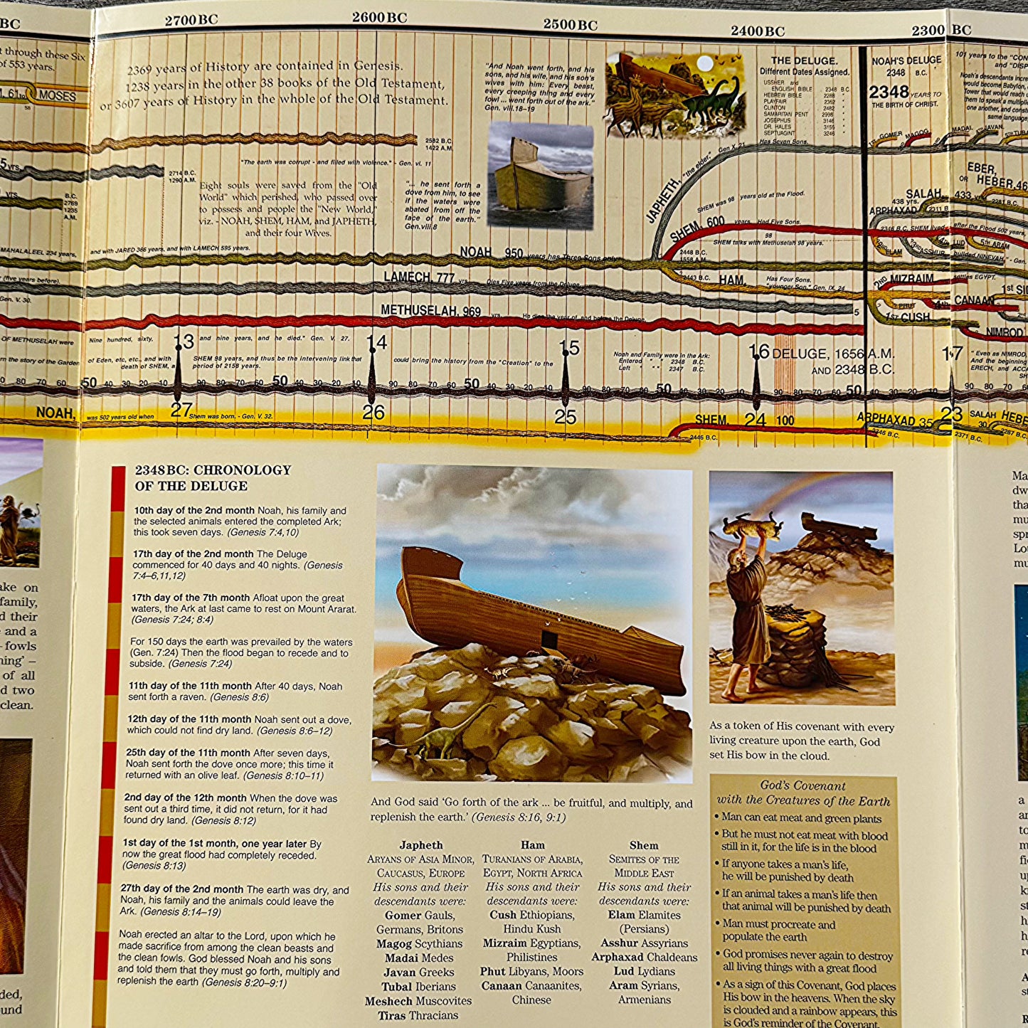 From Adam to Jesus - Historical Timeline (13 Feet Long)