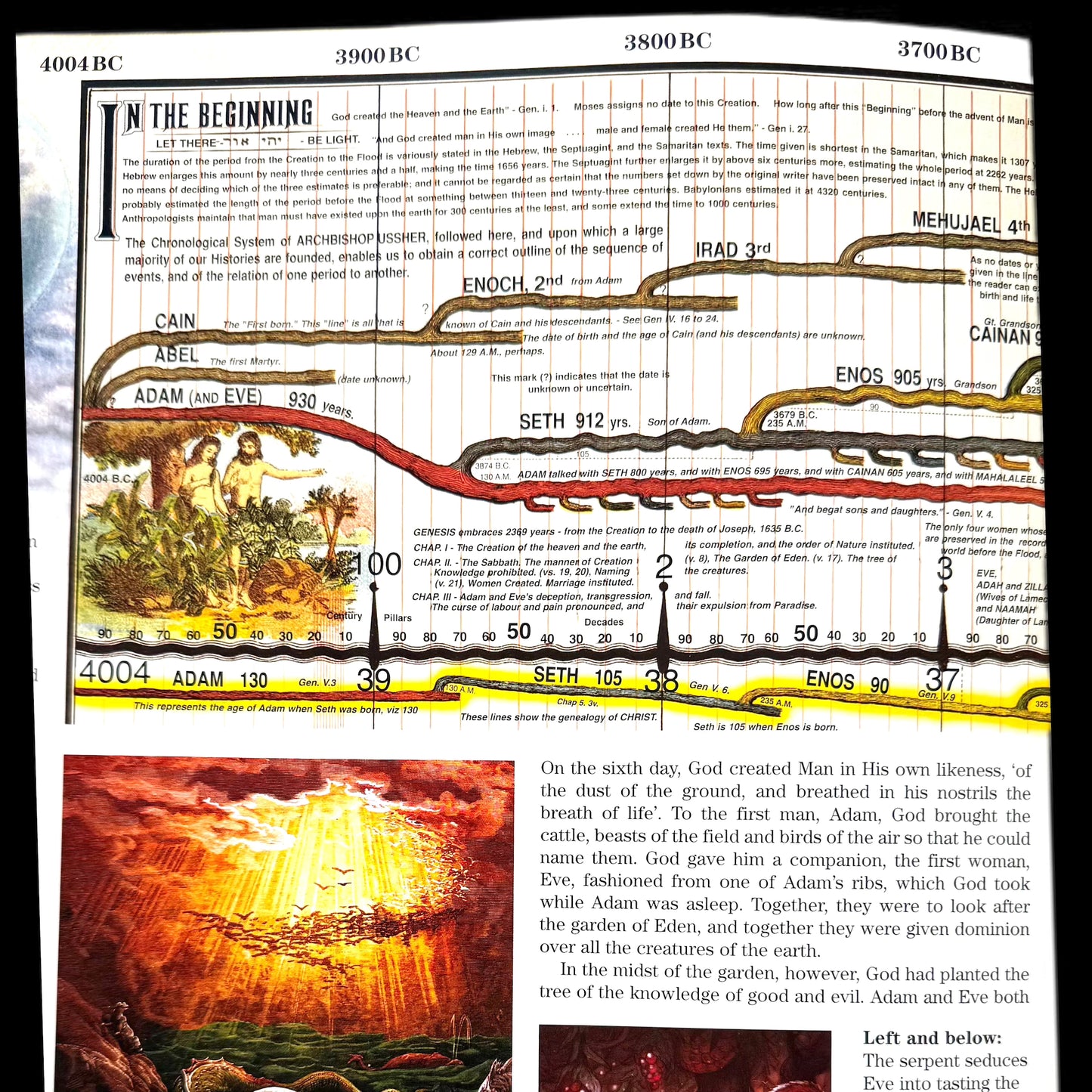 From Adam to Jesus - Historical Timeline (13 Feet Long)