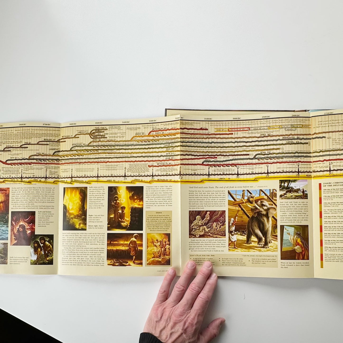 From Adam to Jesus - Historical Timeline (13 Feet Long)