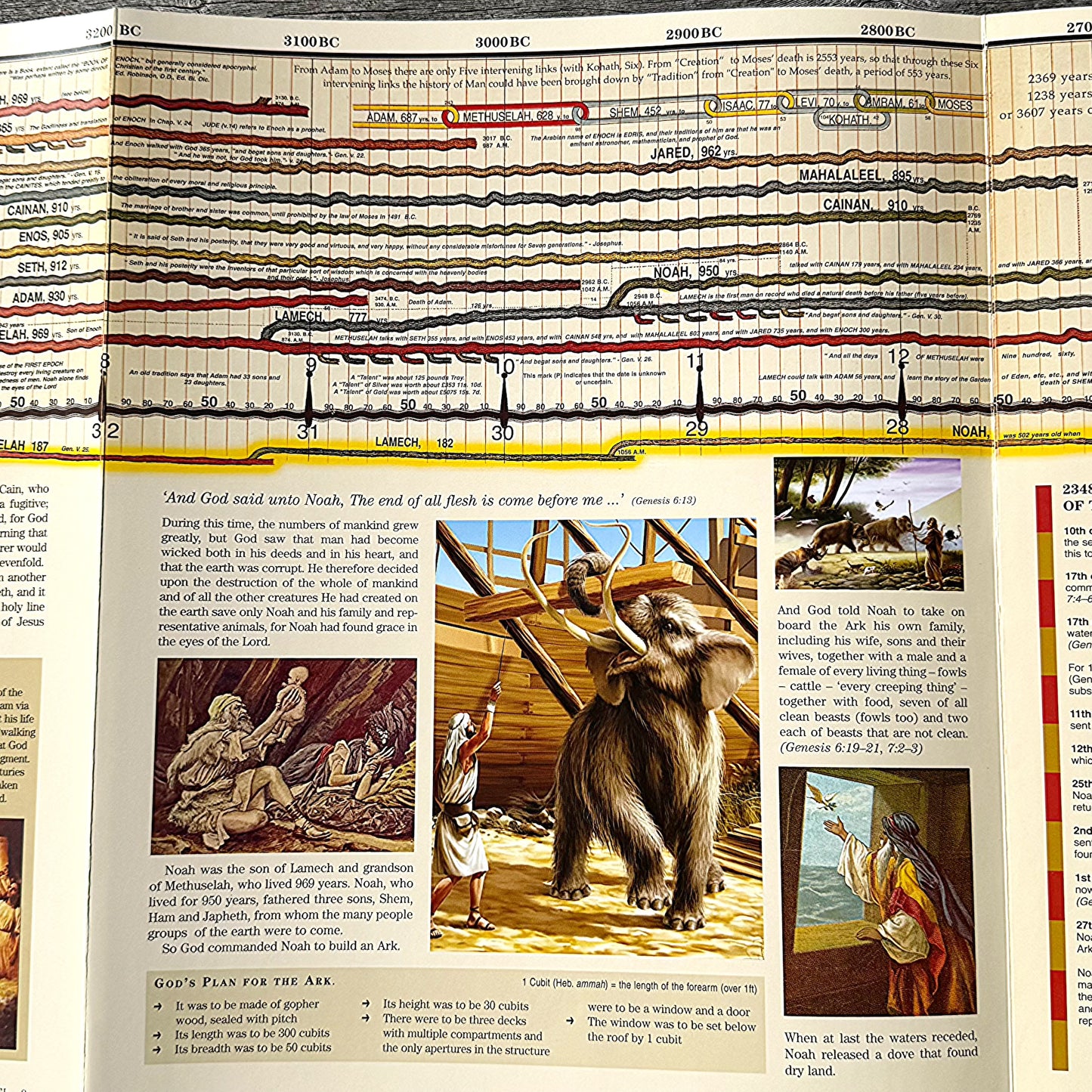 From Adam to Jesus - Historical Timeline (13 Feet Long)