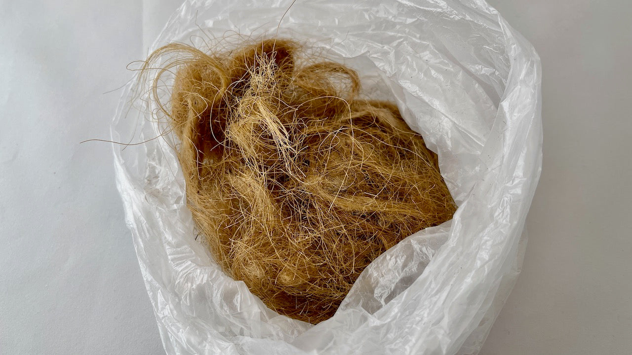 Mammoth Hair (Fur) - Authentic Siberian