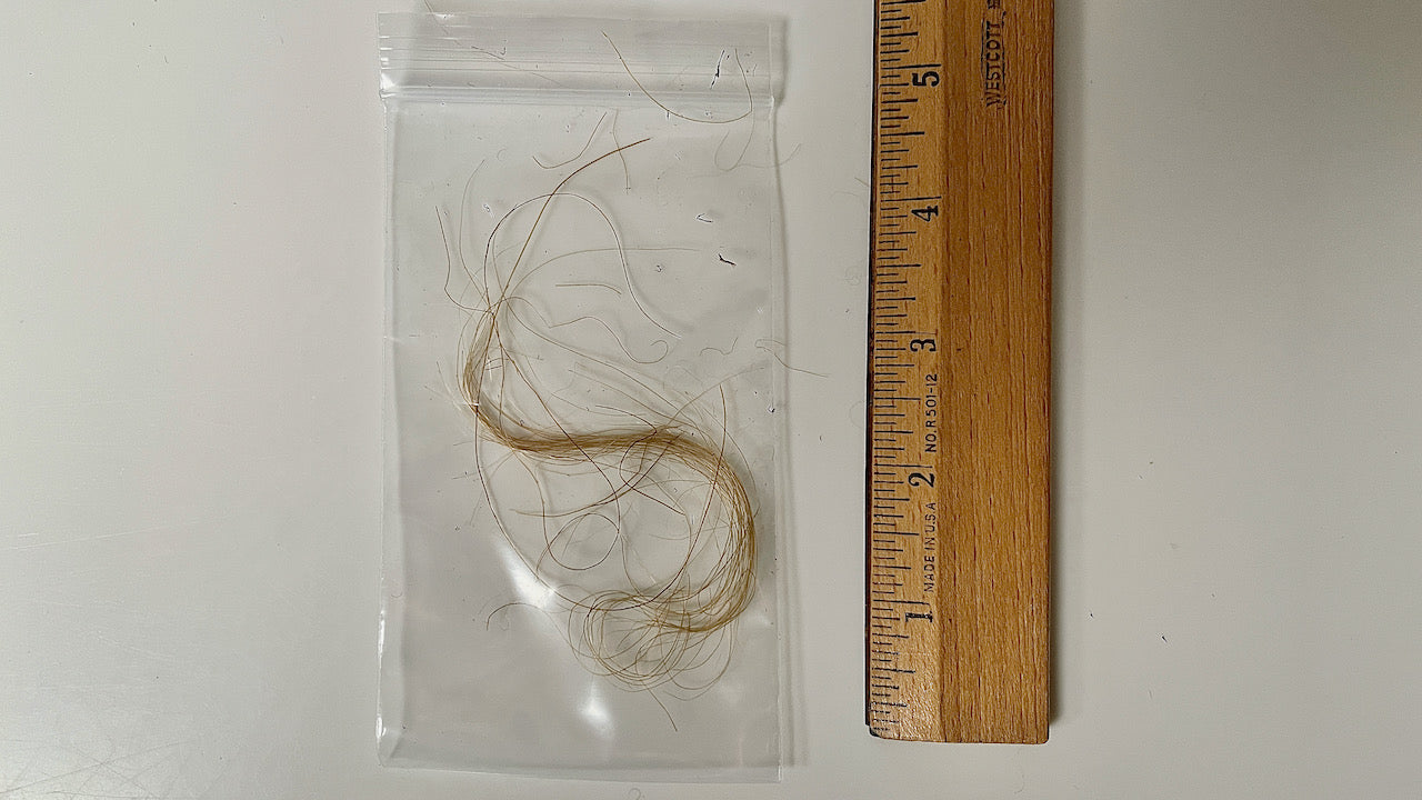 Mammoth Hair (Fur) - Authentic Siberian