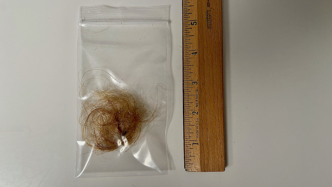 Mammoth Hair (Fur) - Authentic Siberian