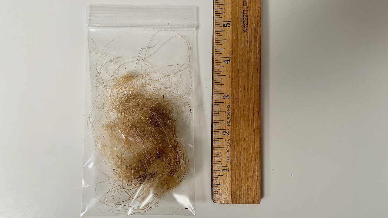 Mammoth Hair (Fur) - Authentic Siberian