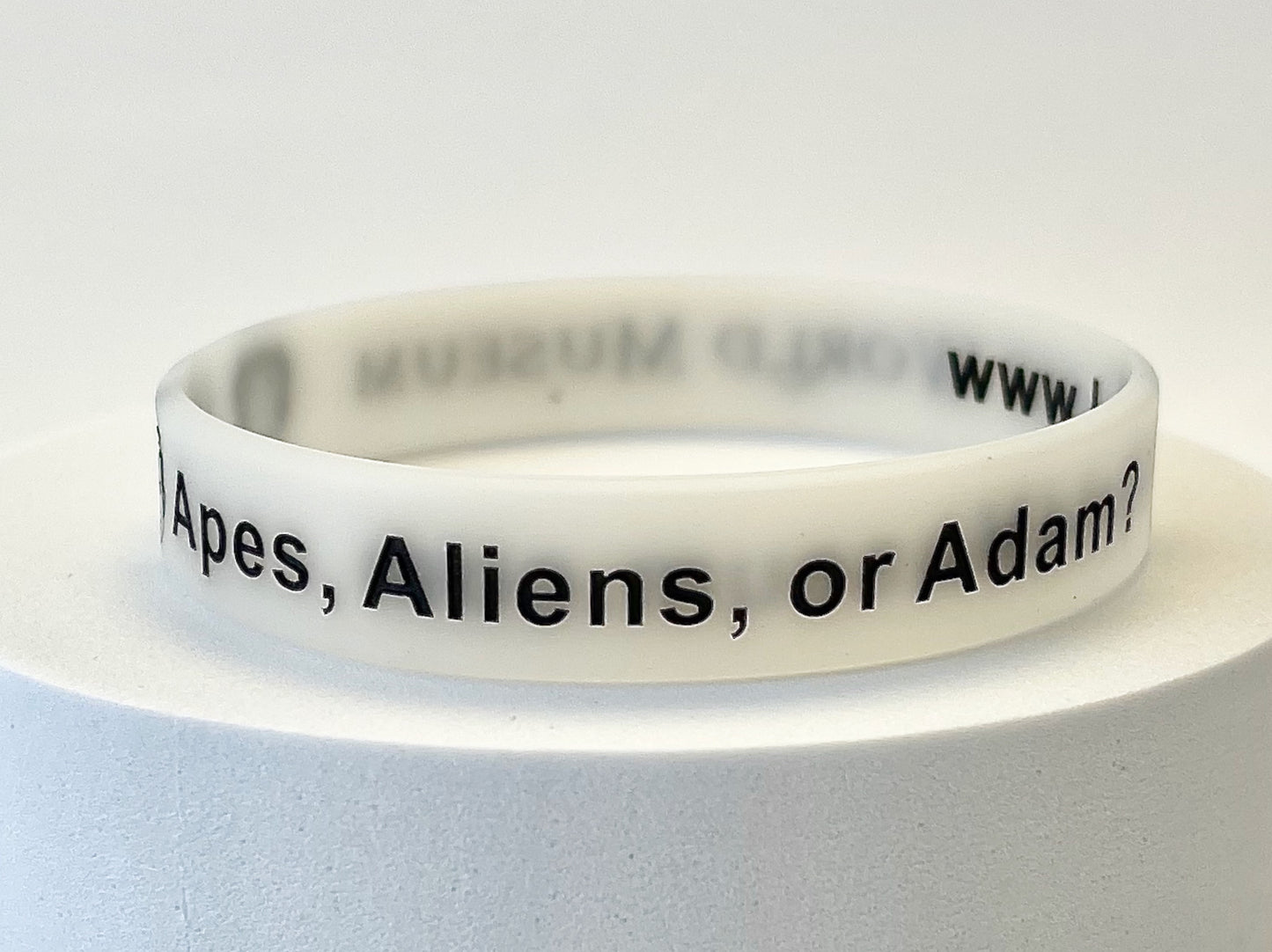 Wristbands (Glow-In-The-Dark)