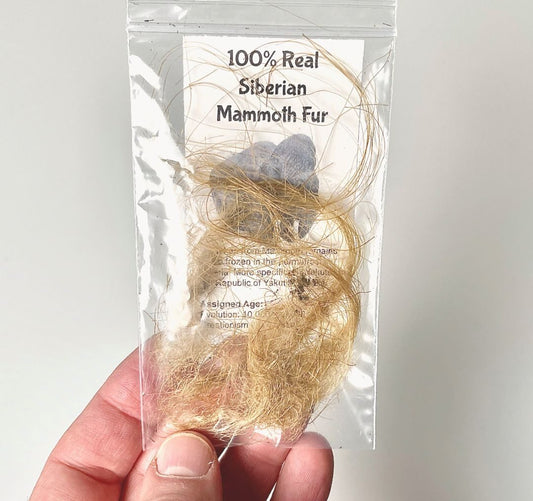 Mammoth Hair (Fur) - Authentic Siberian