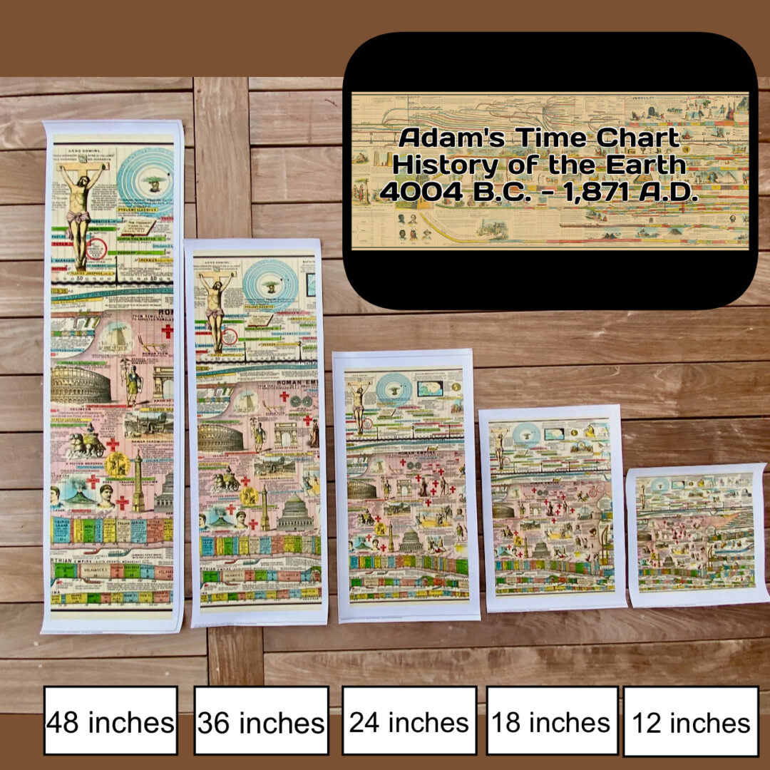 Adams Time Chart (Custom) – Lost World Museum