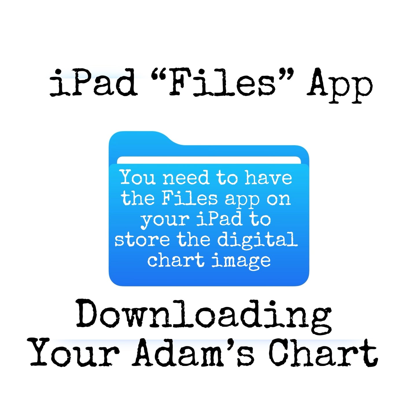 Adams Time Chart (Digital)